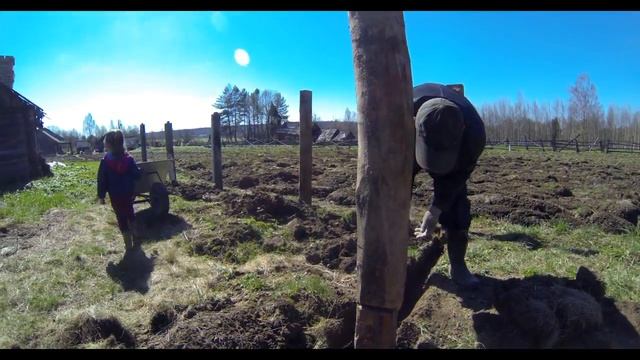 Загон/выгул для вьетнамских свиней//жизнь в деревне смотреть онлайн