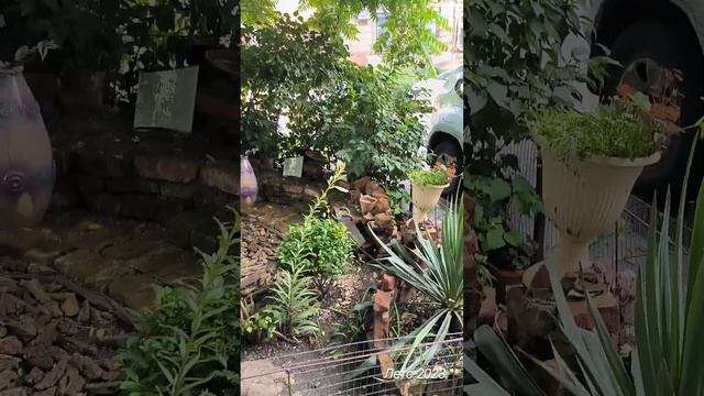 Ростов-на-Дону старая часть города, моя история, как замедлиться смотреть онлайн