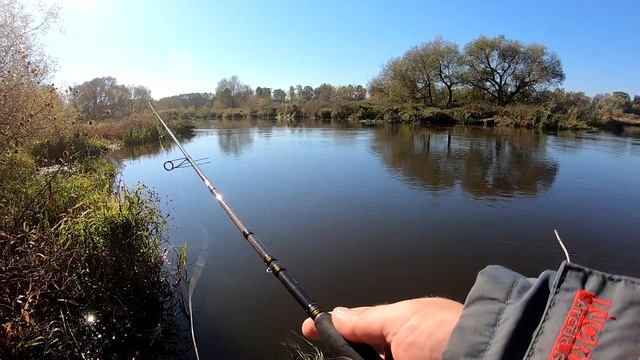 CRAZY FISH ARION ОБЗОР | РЫБАЛКА на РЕКЕ СВИСЛОЧЬ