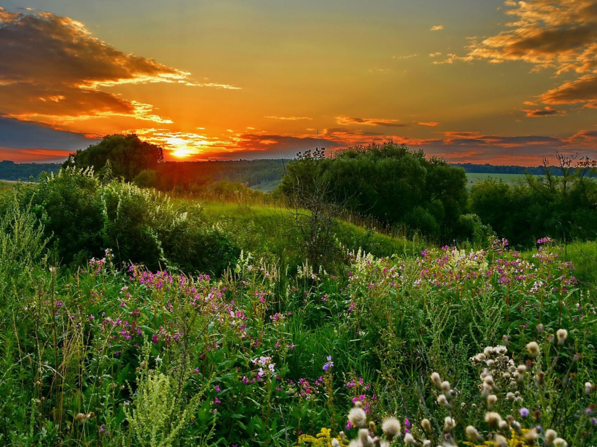 Утро снова вспоминает о жизни....mp4 смотреть онлайн