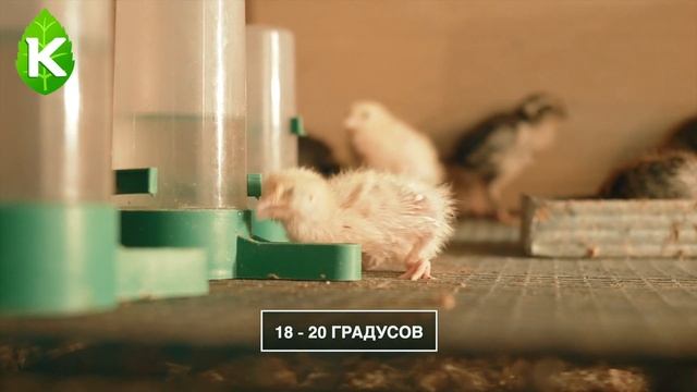 Строительные Рецепты