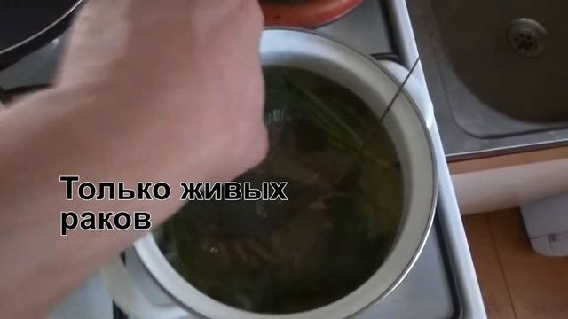 Рецепт Как правильно варить раков.(Быстро и понятно) смотреть онлайн