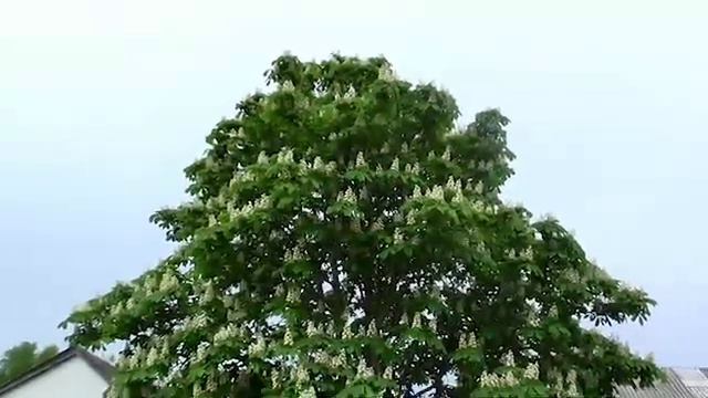 Плодосовхоз Улица Садовая 2 смотреть онлайн