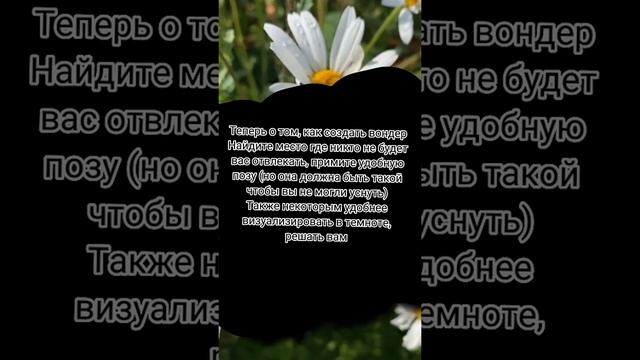 Как Попасть в Вондерленд Wonderland | Тульповодство | #shorts смотреть онлайн