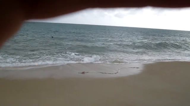 Сезон дождей, Самуи Тайланд (season rain, monsoon, samui tailand) смотреть онлайн