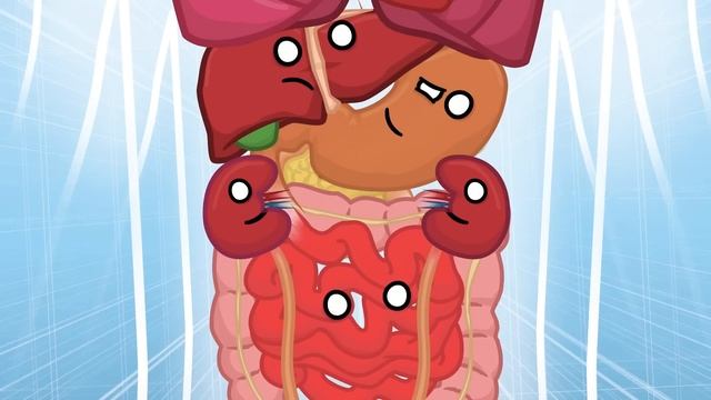 What if your organs had feelings? смотреть онлайн