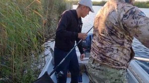 Рыбалка на Балхаше #Рыбалка #Балхаш #белыйамур #сазан