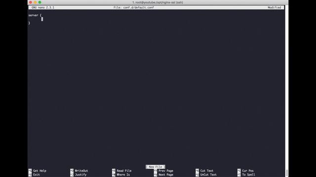 Setting up your web application with Docker,nginx and TLS : SSL through letsencrypt смотреть онлайн
