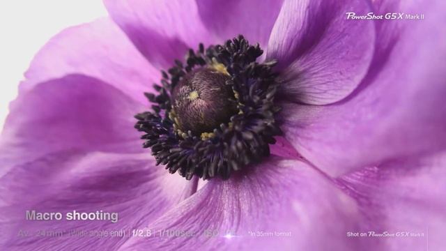 ?? 7 MEJORES Cámaras Compactas BARATAS de Amazon [2024]✅[Calidad/Precio] Para Viajar / Económicas смотреть онлайн