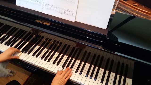 Calypso Rhumba (Early-Intermediate Piano Solo) Alfred's Adult Level 3 смотреть онлайн