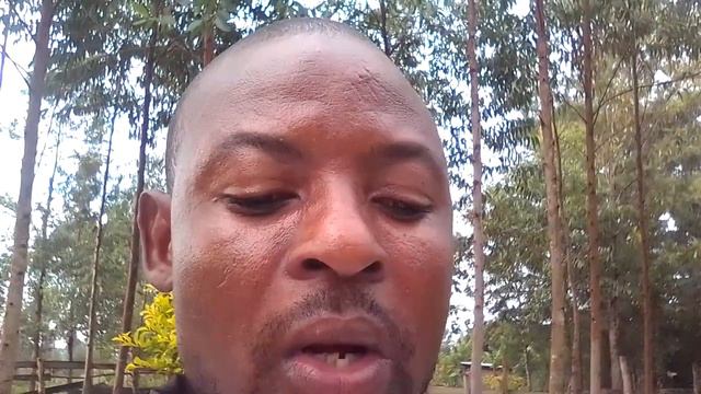 Asili ya familia na HADITHI NYINGINE смотреть онлайн