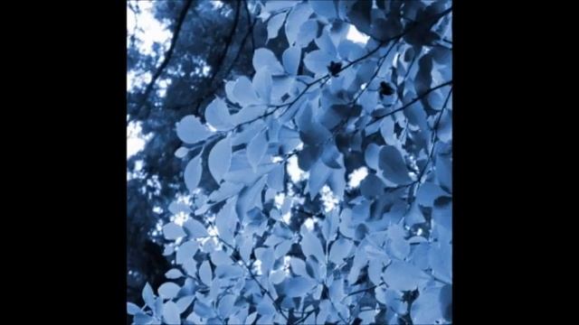 「Ambient-30sec-001」BGM・効果音・音素材ダウンロードサイトDIGLOOPSより смотреть онлайн