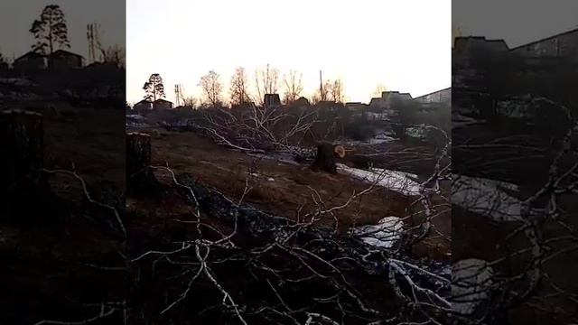 Березовая роща на Южном смотреть онлайн