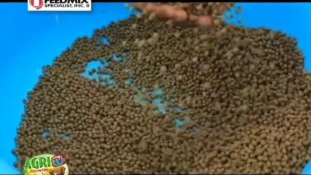 Agri TV with Feedmix Episode 5 смотреть онлайн