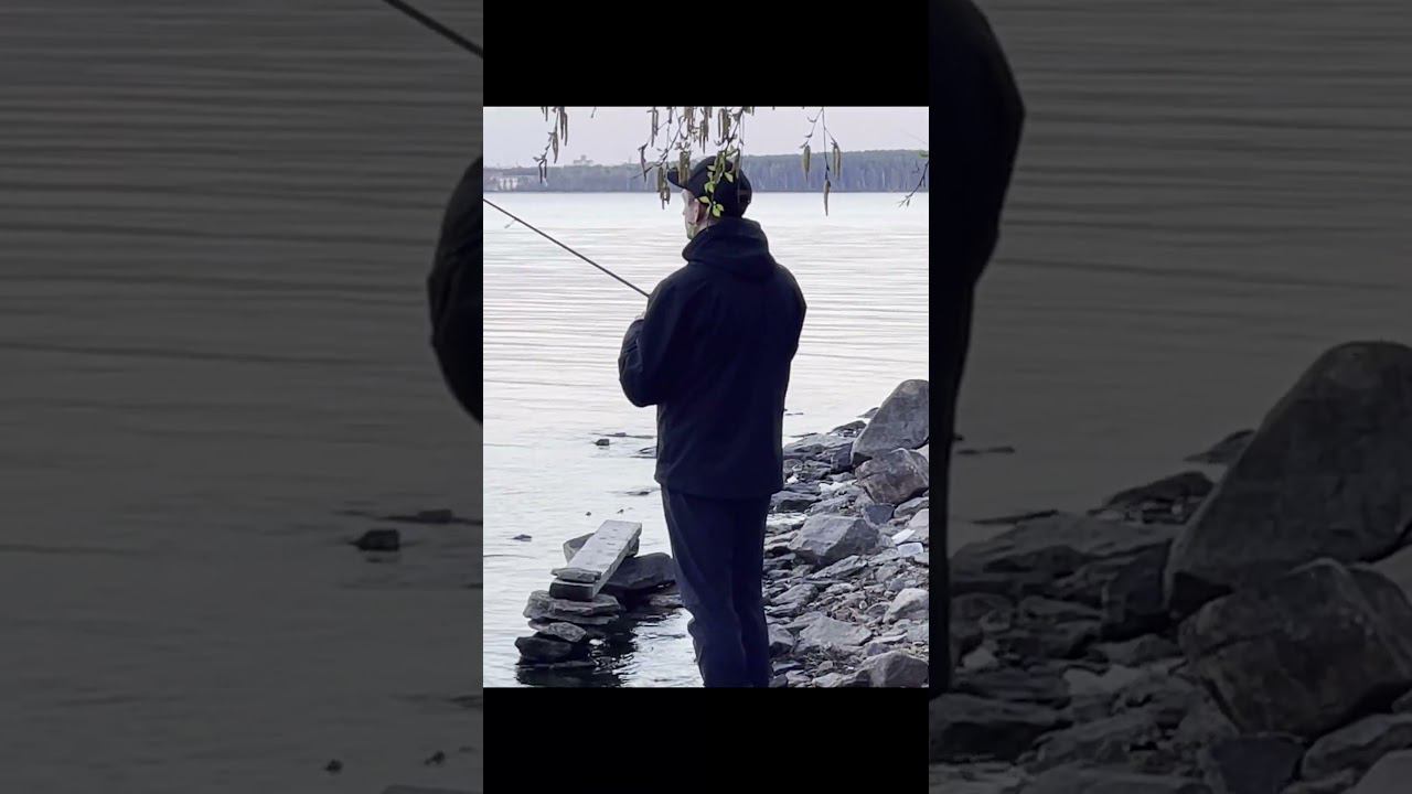 Вот это улов! Санитар озера #рыбалка #палатка #снежинск #рыба #fishing #север смотреть онлайн