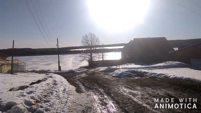 Весна. Ручьи. Душа поет. Встреча с котиками красавцами. смотреть онлайн