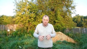 Начинаем вабить волка.