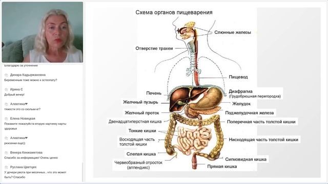 Вебинар - Женское здоровье - с Людмилой Синельниковой смотреть онлайн