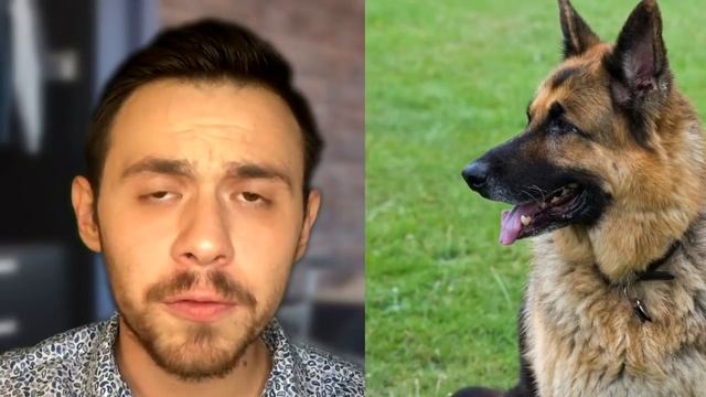 10 Самых Странных Историй, Которые Происходили с Людьми во Время их Путешествий смотреть онлайн