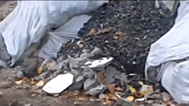 Самая чистая страна смотреть онлайн