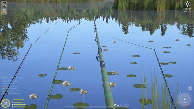 Random Trophy loss at Bear with Venga reel смотреть онлайн