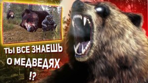 ГАЙД ПО МИШКАМ В WILL TO LIVE ONLINE