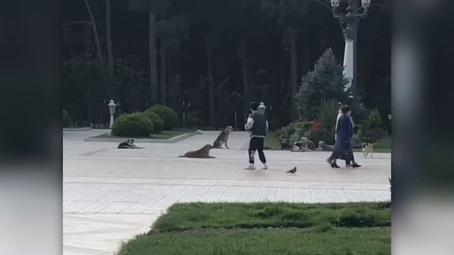 Instant Karma Caught On Camera