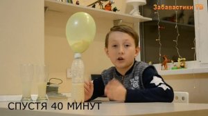 Удивительный мир дрожжей: опыты