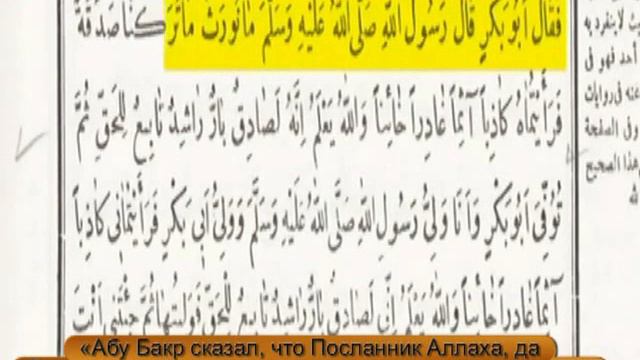 Шейх Закария — Любовь Ахль аль-Бейт (А) к Абу Бакру и Умару смотреть онлайн
