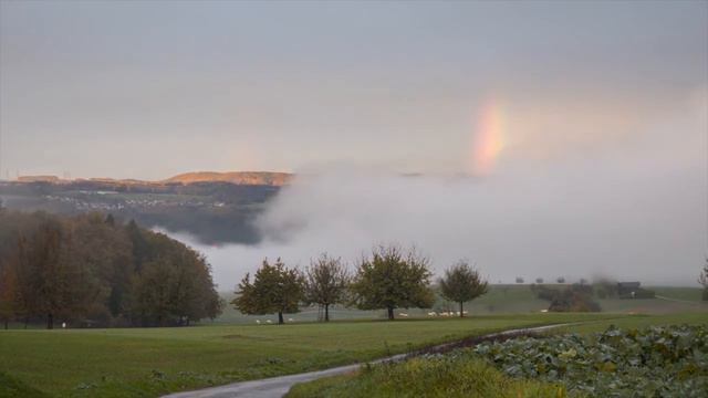 "Грусть" музыка и исполнение:Олег Сапегин,слова Николай Шумаков,Олег Сапегин смотреть онлайн