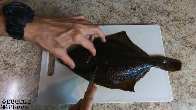 Обзор и Разделка Камбалы Которую Я Поймал на Рыбалке 2019 смотреть онлайн