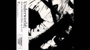 Underworld -  Live At The Oblivion Ball, Makuhari Messe, Tokyo, Japan 24.11.2007