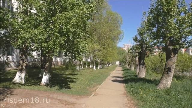 Как рисовать деревья | Художник Наталья Боброва смотреть онлайн