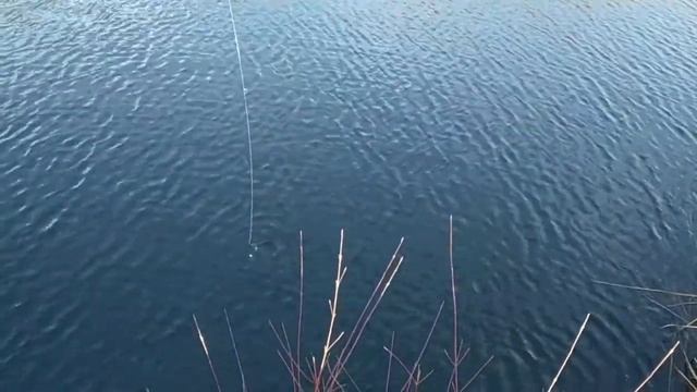 Дешевая камера для блога. Экшн камера 4K sports Ultra HD DV water resistant 30 M обзор, тест. смотреть онлайн