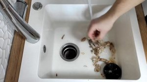 Справится ли измельчитель пищевых отходов с куриными костями?