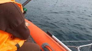 Ловля кеты в море с лодки.Мыс Поворотный 1.10.2022.
