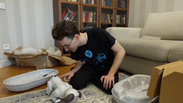 Заменил Своего Кота Роботом За 3000$ смотреть онлайн