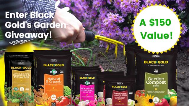 Enter Black Gold's March 2021 Garden Giveaway! смотреть онлайн