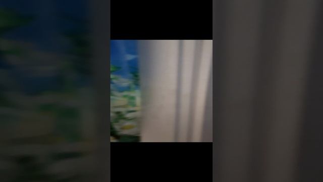 20230818_170708.mp4 смотреть онлайн