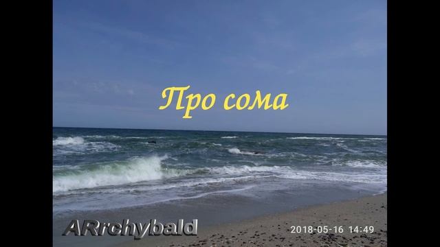 Про сома. ( Б. Заходер. стихи ) Сами с усами. смотреть онлайн