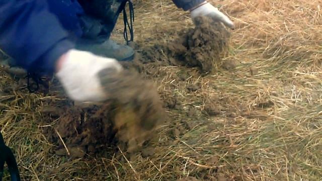 Первое серебро сезона 2016 с X-TERRA 505 смотреть онлайн
