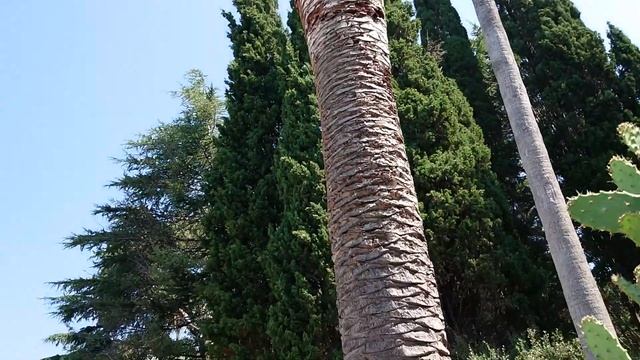 Пржно Черногория выход на пляж Каменово смотреть онлайн