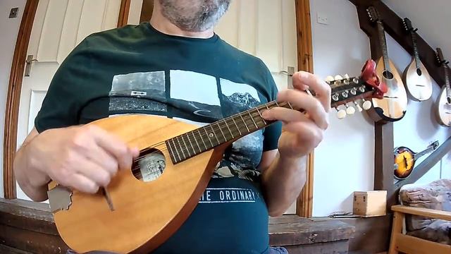 Green Fields Of France (Eric Bogle), mandolin instrumental смотреть онлайн