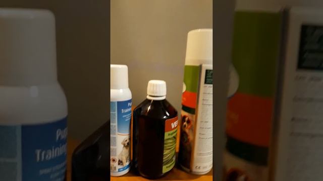 Приучение щенка к туалету смотреть онлайн