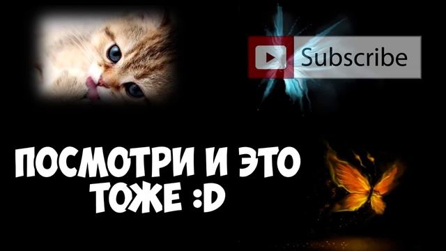Что делать, если разбил свой телефон? Vine смотреть онлайн