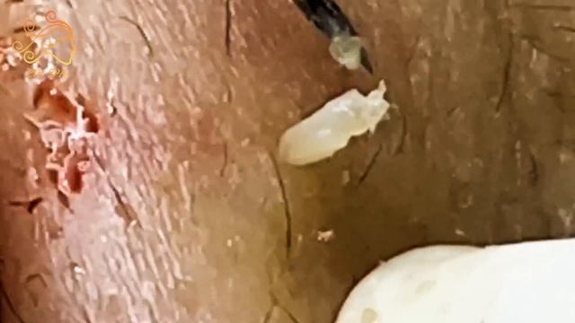 Enjoy Every Day With The Best Video Loan Nguyen 2022 #8015 смотреть онлайн