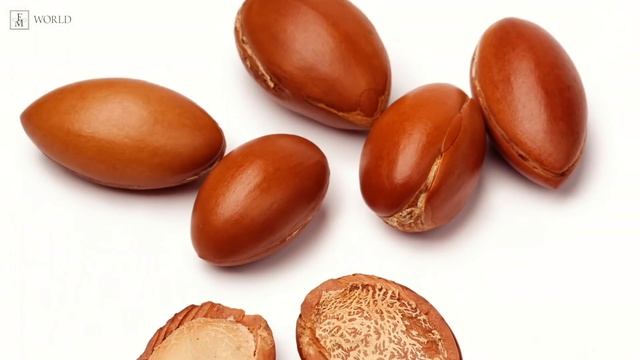 The premiere of the Product Catalogue no. 34 смотреть онлайн