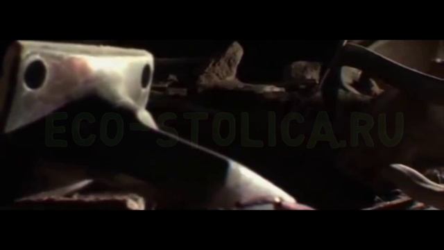 Чем опасны мухи, какие болезни переносят мухи смотреть онлайн