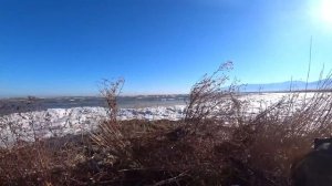 Сибиряк-2, Охота на северную утку! много утки!