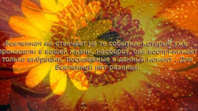 Эстер и Джерри Хикс. Навстречу мечте за 365 дней. 233 смотреть онлайн